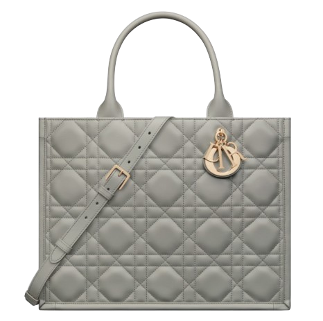 DIOR BOOK TOTE 미디엄 백
