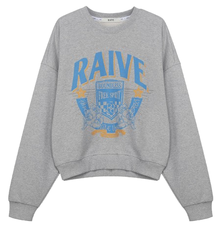 RAIVE SweatShirt In Grey